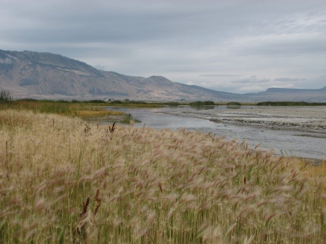 Summer Lake Vista